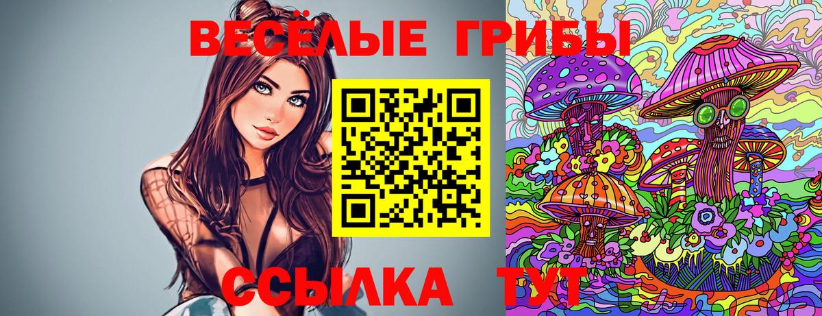 Калач-на-Дону  Галлюциногенные грибы MAGIC MUSHROOMS  Псилоцибиновые грибы мицелий  Вход с VPN 